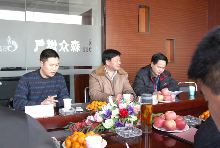林口县政府与吉林维安家庭娱乐中心有限公司燃气项目洽谈.png